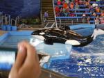 Tag 5: Sea World San Antonio