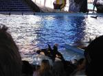 Tag 5: Sea World San Antonio