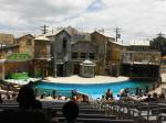 Tag 5: Sea World San Antonio