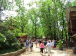 Tag 8: Silver Dollar City