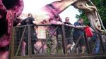 Tag 5: Alton Towers